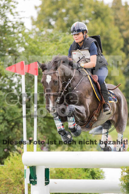 FEI European Championship