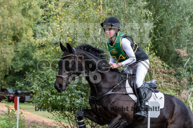 Vielseitigkeit RSV Wesel Obrighoven (26.+27.09.2020)