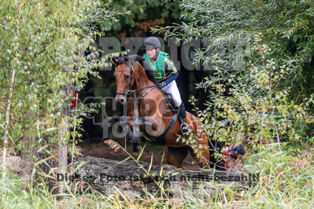 Vielseitigkeit RSV Wesel Obrighoven (26.+27.09.2020)