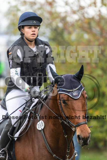 Goldene Schärpe 2020 - Pferde