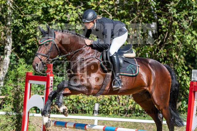 RFV Dinslaken-Hiesfeld (Herbstturnier)