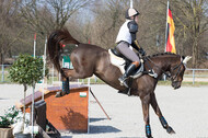 Eventing Langenfeld 2018
