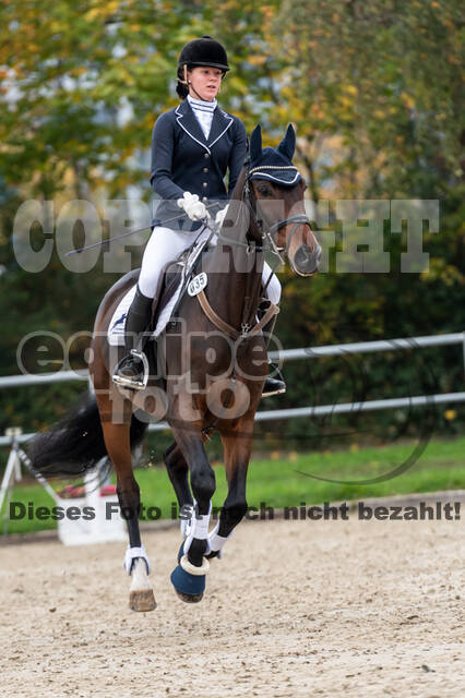 Reiter Schleswig-Holstein