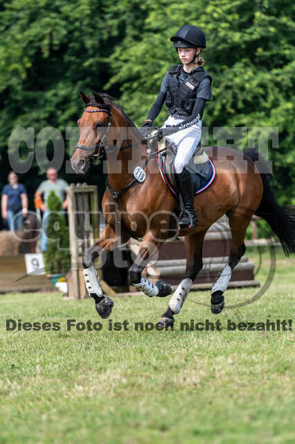 Goldene Schärpe 2021 - Ponys