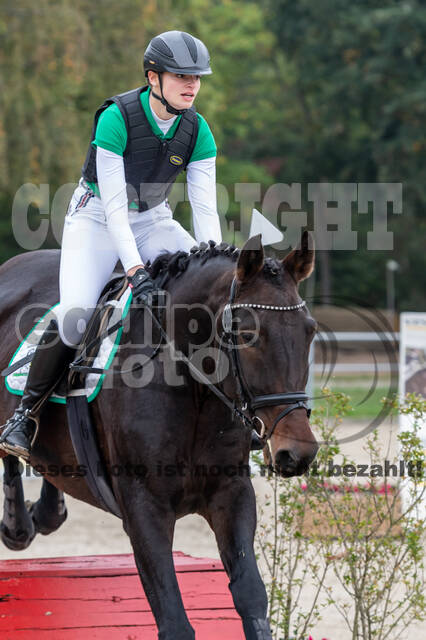 Goldene Schärpe 2020 - Pferde