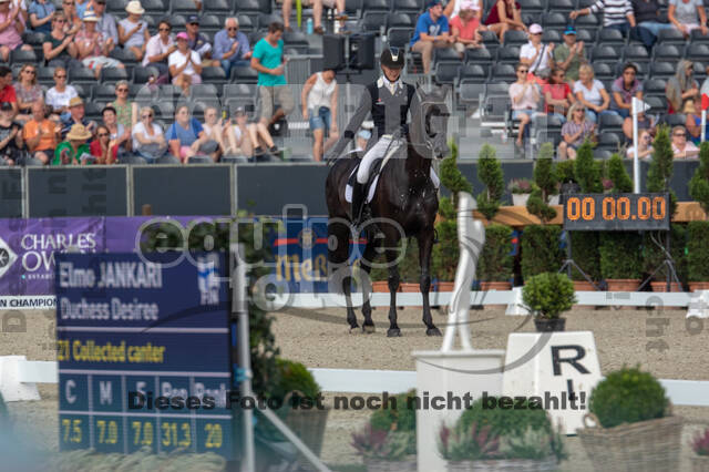 FEI European Championship Eventing 2019