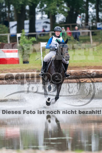 Deutsche Meisterschaft Vielseitigkeit (Luhmühlen)