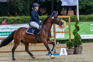 Goldene Schärpe 2021 - Ponys
