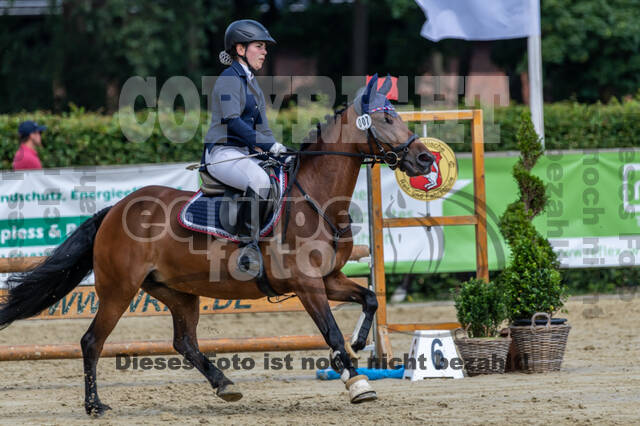 Goldene Schärpe 2021 - Ponys