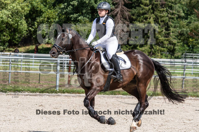 Late-Entry-Vielseitigkeit Langenfeld (06.+07.07.2020)