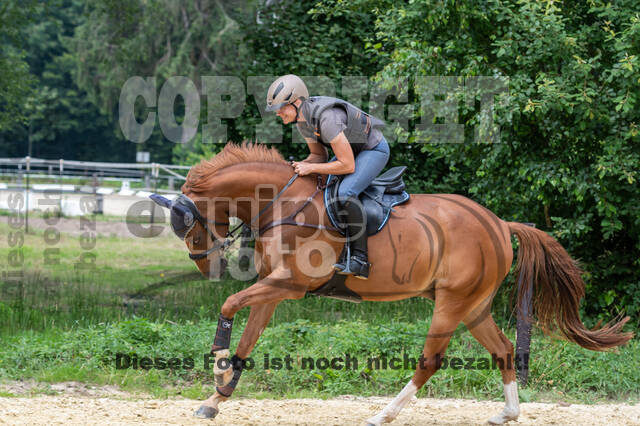 Hunter Geländetraining 10.07.2021 (Sonsbeck)