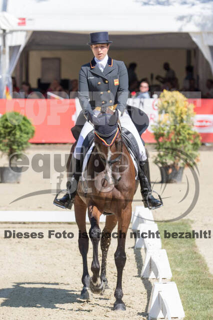 FEI European Championship Eventing 2017