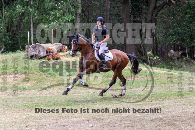 Late-Entry Vielseitigkeit Hamminkeln/Wesel (01.+02.08.2020)