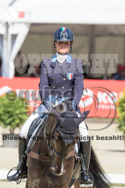 FEI European Championship