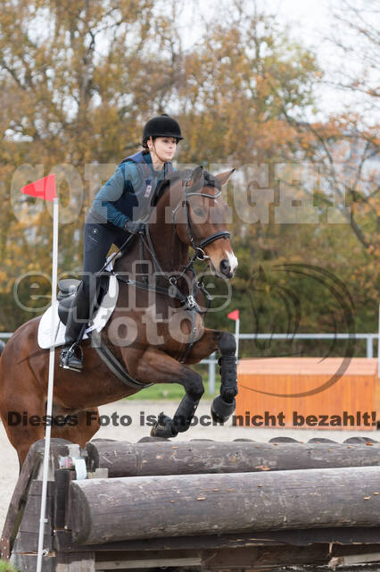 IGV Lehrgang der Sieger der Cups mit Frank Ostholt