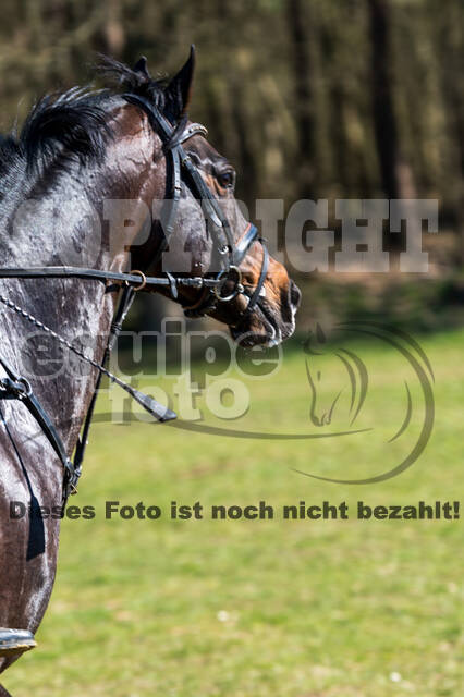 Geländetage beim RSV St. Hubertus Wesel Obrighoven (26.+27.03.2022)