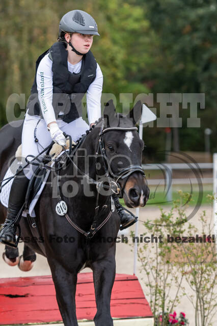 Goldene Schärpe 2020 - Pferde