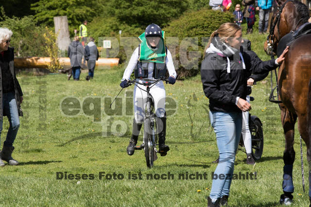 Sterne über Münster 2019 - CCI***S