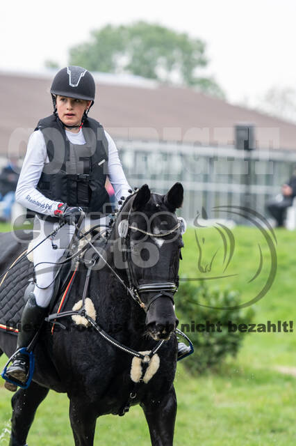 Goldene Schärpe 2020 - Pferde