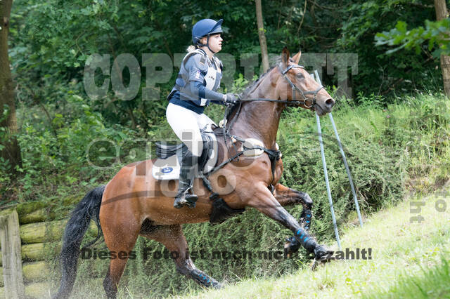 Vielseitigkeitsturnier RFV Bad Honnef