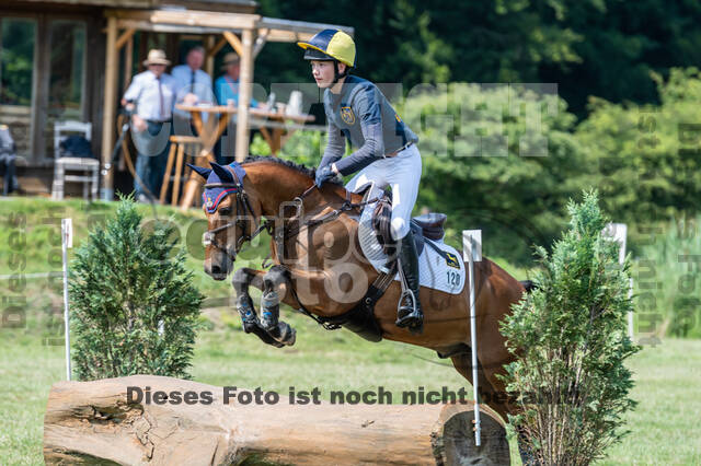 Goldene Schärpe 2021 - Ponys