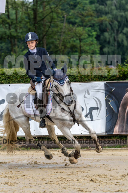 Goldene Schärpe 2021 - Ponys