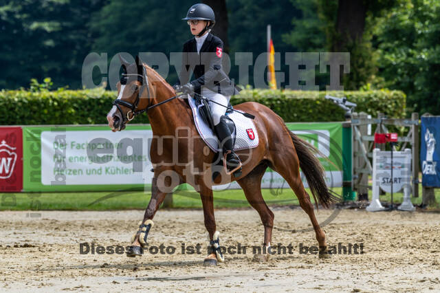 Goldene Schärpe 2021 - Ponys