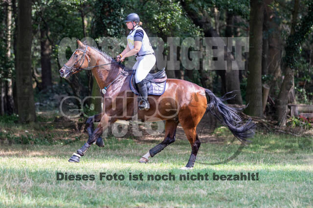 Late-Entry Vielseitigkeit Hamminkeln/Wesel (01.+02.08.2020)