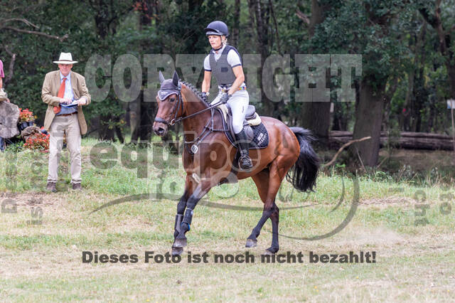 Late-Entry Vielseitigkeit Hamminkeln/Wesel (01.+02.08.2020)