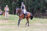 Late-Entry Vielseitigkeit Hamminkeln/Wesel (01.+02.08.2020)