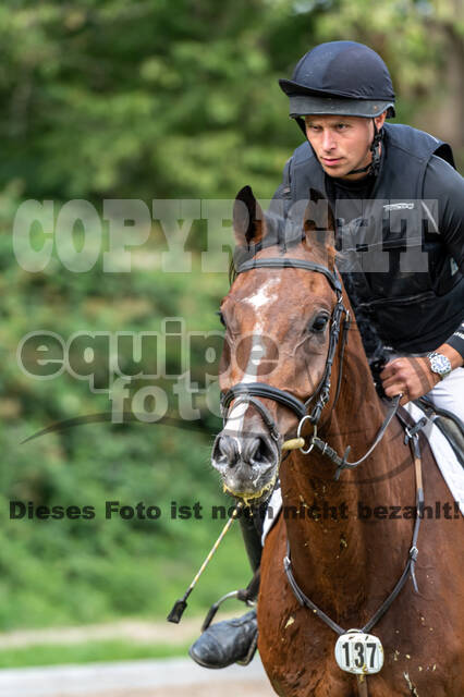 Late-Entry-Vielseitigkeit Langenfeld (06.+07.07.2020)