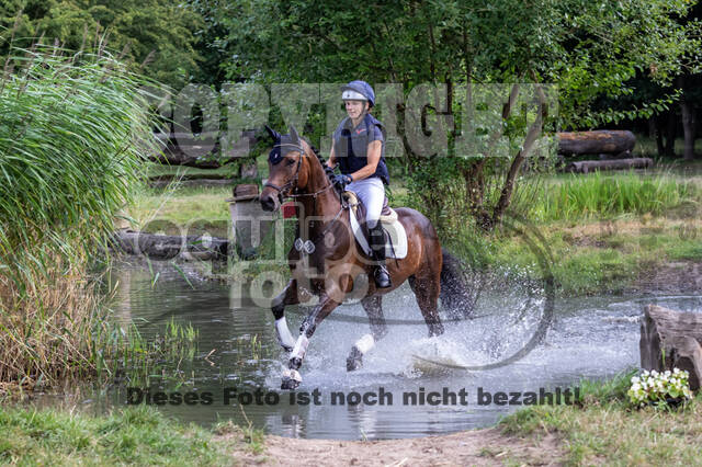 Late-Entry Vielseitigkeit Hamminkeln/Wesel (01.+02.08.2020)