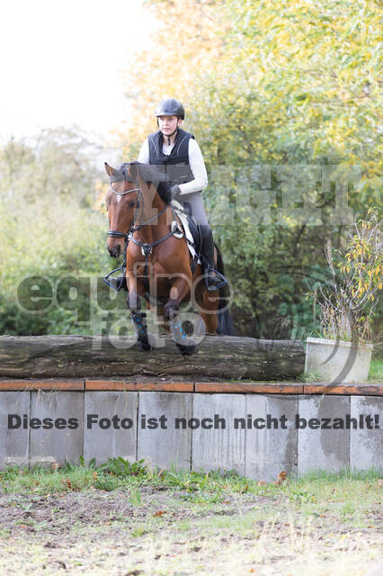 IGV Lehrgang der Sieger der Cups mit Frank Ostholt