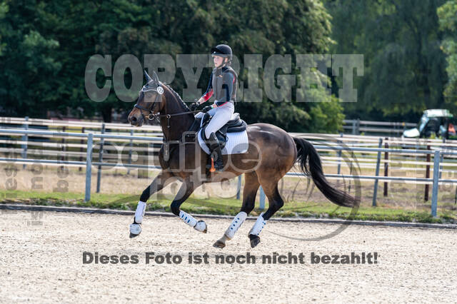 Late-Entry-Vielseitigkeit Langenfeld (11.+13./14.06.2020)