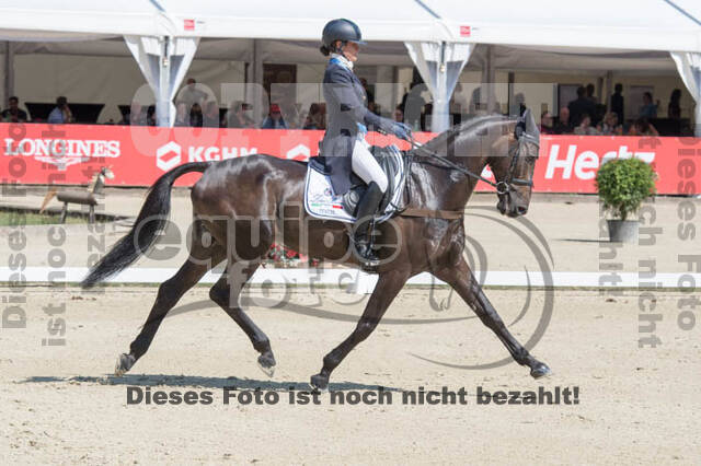 FEI European Championship