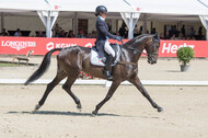 FEI European Championship
