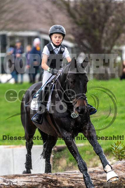 Goldene Schärpe 2020 - Pferde