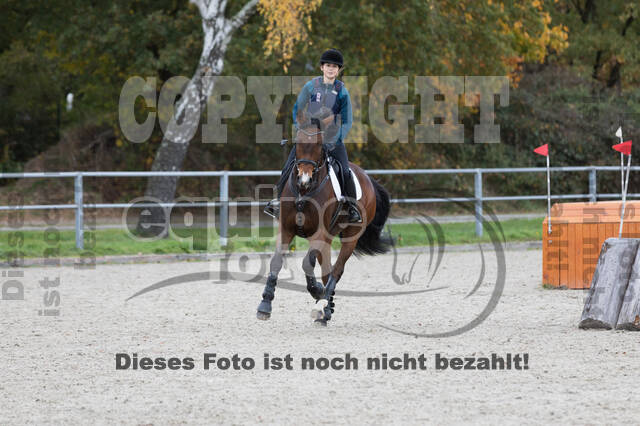 IGV Lehrgang der Sieger der Cups mit Frank Ostholt