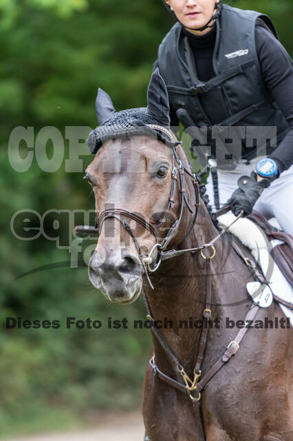 Late-Entry-Vielseitigkeit Langenfeld (11.+13./14.06.2020)