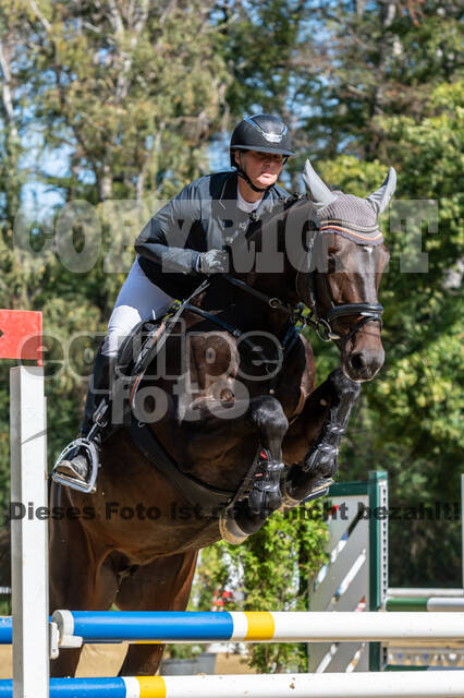 RFV Dinslaken-Hiesfeld (Herbstturnier)