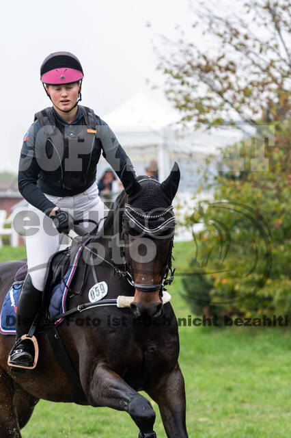 Goldene Schärpe 2020 - Pferde