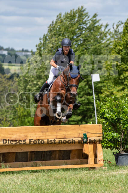 Bonn-Rodderberg Late-Entry-Vielseitigkeit (30.06.2020)