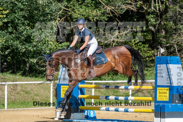 RFV Dinslaken-Hiesfeld (Herbstturnier)