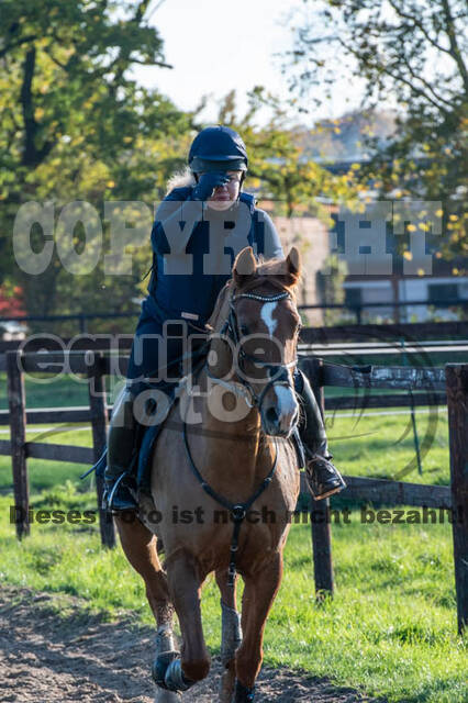 Vielseitigkeitslehrgang mit Jürg Kurbel (9.+10.11.2019)