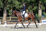 Kronenberg - De Peelbergen (August 2020)
