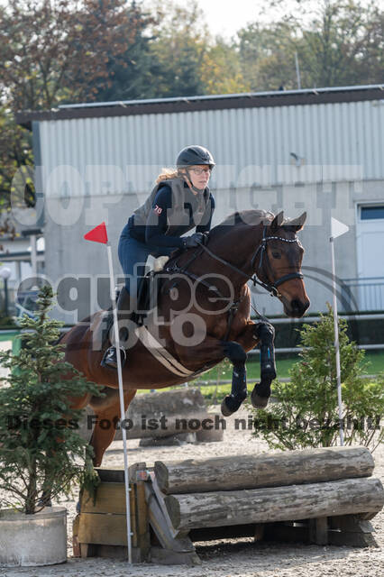IGV Lehrgang der Sieger der Cups mit Frank Ostholt