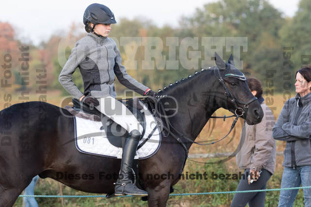 IGV Kleve