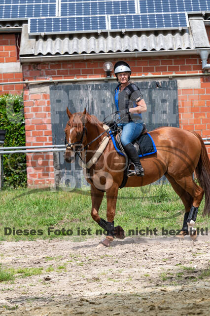 Hunter Geländetraining 10.07.2021 (Sonsbeck)