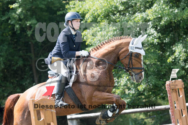 Vielseitigkeitsturnier ZRuFV von Lützow Hamminkeln