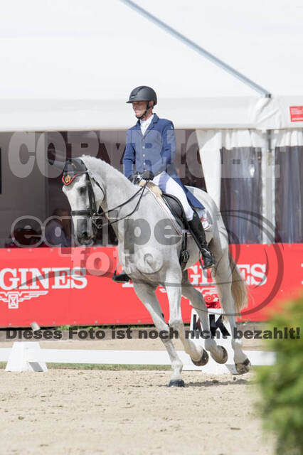 FEI European Championship Eventing 2017